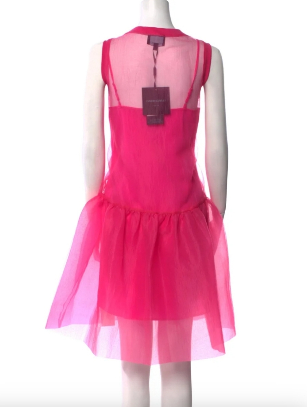 Cynthia Rowley Sheer Pink Dress with a full slip Size M NWT - Picture 2 of 4
